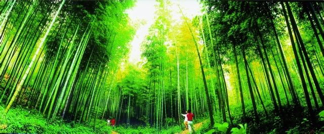 花山天气预报10天查询