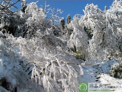 衡山天气预报10天查询