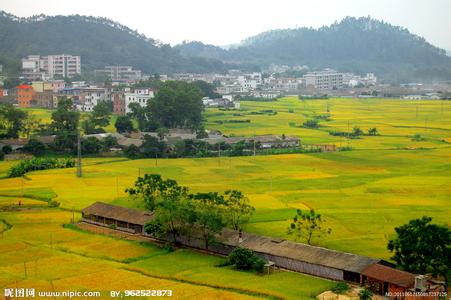 新兴天气预报10天查询