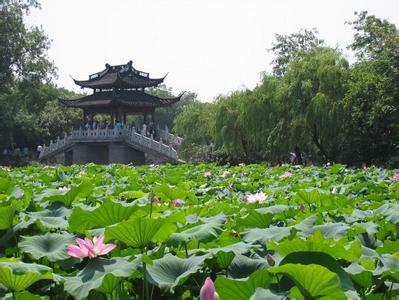 清苑天气预报30天查询,清苑县一个月天气