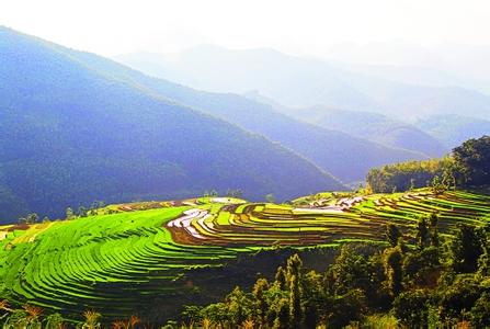 那坡天气预报30天查询,那坡县一个月天气