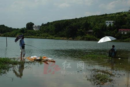 株洲荷塘天气预报_荷塘天气预报一周7天10天15天株洲荷塘天气预报,荷塘天气预报一周7天10天15天