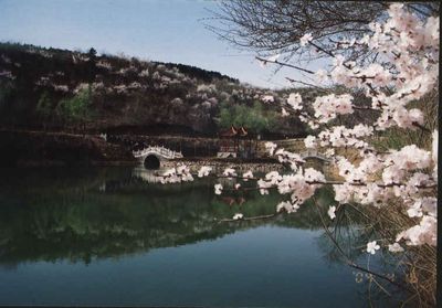 沈阳市苏家屯区白清寨乡天气