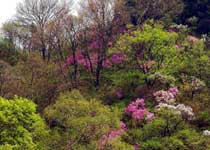 延庆松山森林旅游区天气