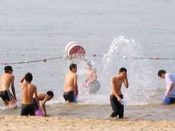 佛山南海大湿地公园天气