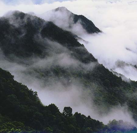 梅州阴那山天气