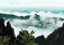 武昌天堂寨风景区天气